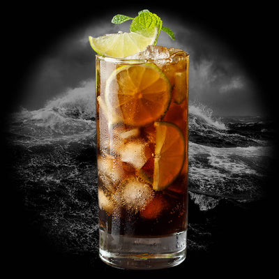 Dark Rum Mojito